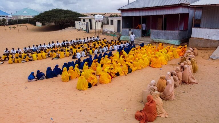 DCIM101MEDIADJI_0334