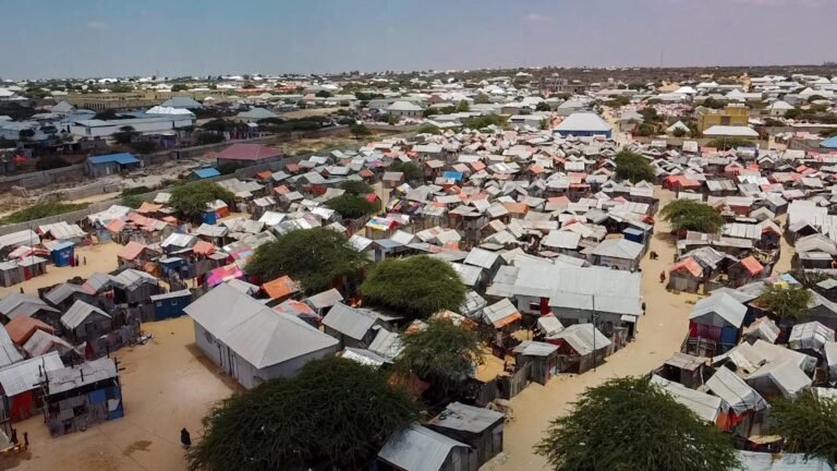 dji_fly_20240317_114157_0_1710664917647_photo_low_quality