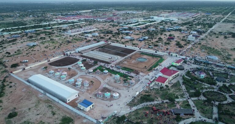 vlcsnap-2019-12-21-04h52m31s36