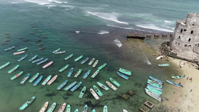 vlcsnap-2019-12-21-04h56m33s3